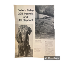 Belle and 225 Pound Baby Print Life Magazine May 11 1962 Frame Ready Bla... - £6.95 GBP