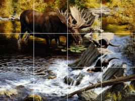 Moose sea otters woodland river stream wildlife ceramic tile mural backsplash - £46.70 GBP+