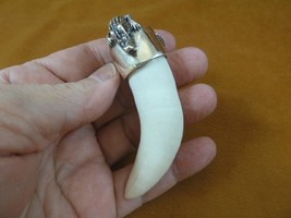 (G963-16-12) Extra Large 3-3/8&quot; Gator Alligator Tooth Silver Cap Gators Pendant - $383.34