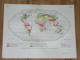 1937 Original Vintage Map Of The World / Soil Agriculture - £13.44 GBP