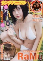 Young Animal Arashi July 2017 / Manga Gravure magazine / from Japan - $22.67