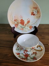 Silesia Germany Porcelain Hand Painted gooseberries Trio set - £41.09 GBP