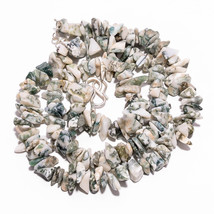 Natural Tree Agate Gemstone Uncut Smooth Beads Necklace 5-14 mm 17-18&quot; UB-7718 - £8.50 GBP
