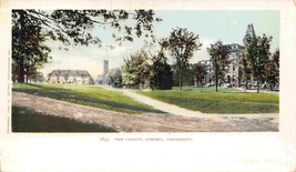 Cornell University Campus Ithaca New York 1905c Detroit Publishing postcard - £6.16 GBP