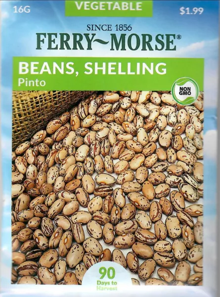 Beans Pinto Non-Gmo Vegetable Seeds - Ferry Morse 12/24 Fresh Garden - $7.90
