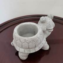 Cement Tortoise Planter with Air Plant, Animal Succulent Planter,Airplant Holder image 3