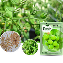 Green Pearl&#39; Green Round Truss Cherry Tomato Seeds Original Pack 100 Seeds FRESH - £18.86 GBP