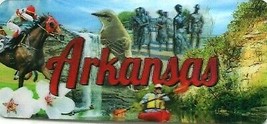 Arkansas The Natural State 3D Fridge Magnet - $6.99