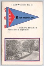 Knob Noster MO Scenic View Davidson Family of Long Pine NE Postcard A34 - £13.33 GBP
