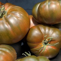 New Black From Tula Tomato Seeds Organic Fresh USA Garden - $9.99