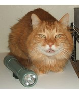 USAF MX-993/U flashlight functioning working US Air Force batteries not ... - €30,25 EUR