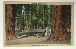 Yosemite National Park California Mariposa Grove Of Big Trees PC Posted 1946 - £5.52 GBP
