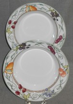 Set (2) Dansk UMBRIAN FRUITS PATTERN Rimmed Soup Bowls MADE IN PORTUGAL - £31.64 GBP