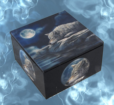 Haunted Box Spell Keeper Align Bond Seal Spirits Magickals Mirror Wolf Cassia4 - £80.13 GBP