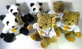 Hard Rock Cafe 3 Bear  Classic Hoodie Plush & 3 Panda Plush Collectible New - £570.10 GBP