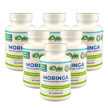 Moringa Green Superfood Immune System Support - 6 - $65.70