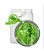 Crambe Abyssinica Seed Oil - 64oz - 100% PURE - $195.99