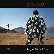 Pink Floyd - Delicate Sound Of Thunder DTS-2-CD  Money  Wish You Were Here  Time - £16.12 GBP