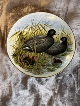 Southern Living Game Birds Of The South   American Coot SEE ALL , NO BOX - $27.10