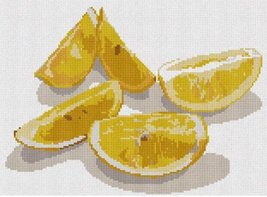 Pepita Needlepoint Canvas: Lemons, 12&quot; x 9&quot; - £60.25 GBP+