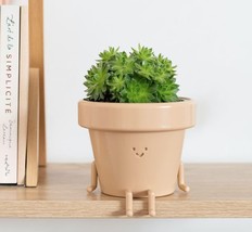 Unique Cute Plastic Flower Pot with Face, 3.5 Inch Succulent/Cactus Gift Planter - £31.27 GBP