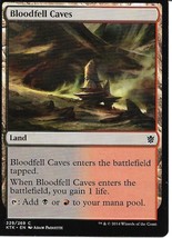 Magic the Gathering Card- Bloodfell Caves 229/269 Khans of Tarkir - $1.30