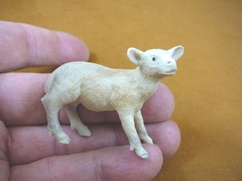 (moose-10) baby white Moose cow of shed ANTLER figurine Bali detailed ca... - £44.13 GBP