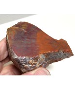 ARIZONA PETRIFIED WOOD POLISHED Specimen! 205 Grams NICE! - $461.44 MXN
