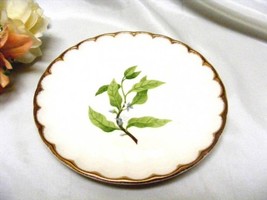 2519  Antique W.S. George Orange Blossom Salad Plate  - $5.00