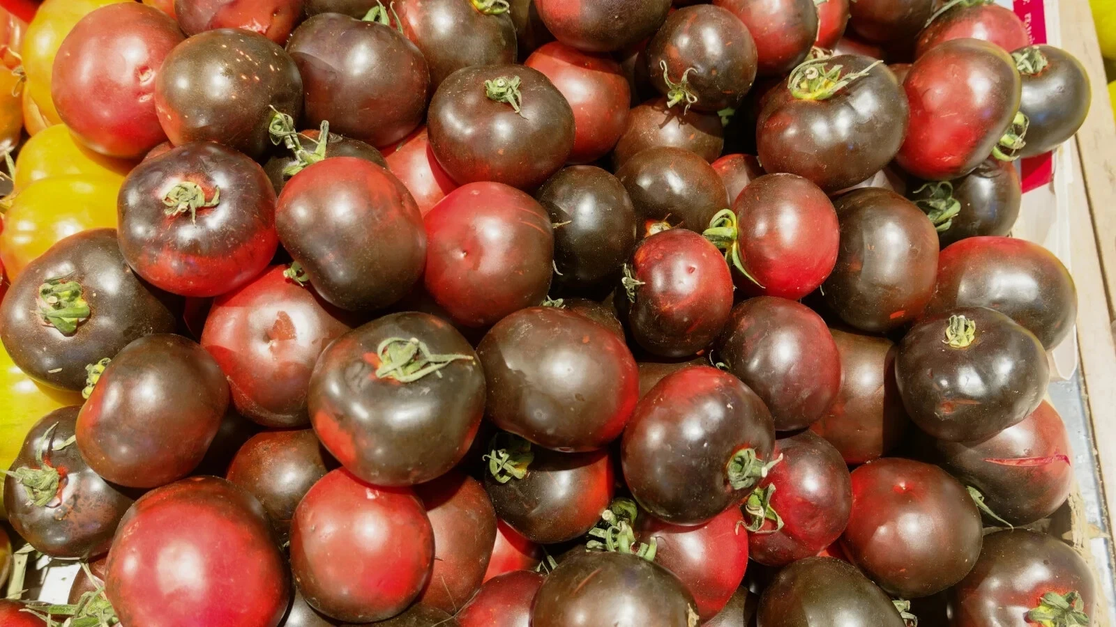 50 Seeds Cherry Cherokee Purple Tomato Juicy Tomatoe Vegetable Garden Ed... - $5.18