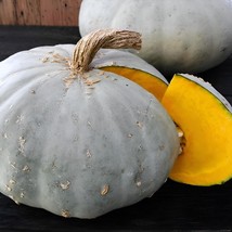 Sweet meat Winter Squash 10 Seeds, vegetable flower grass tree - $70.99 MXN