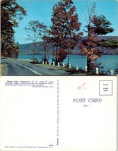 New York(NY) Cooperstown Otsego Lake Autumn Trees Hillside View Vintage Postcard - £7.49 GBP