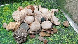 Bag of Misc Rocks, New Mexico &amp; Florida keys Islands ~ - $423.38 MXN