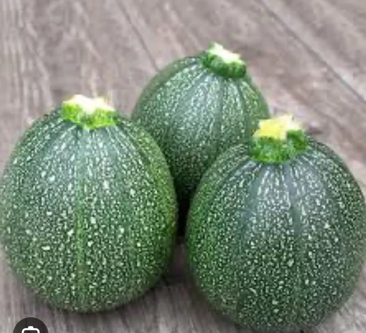 20 Round Zucchini Seeds - $6.85