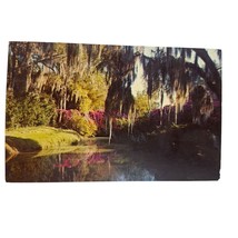 Postcard Bayou Wonderland Jungle Gardens Flowers River Avery Island Chro... - £9.09 GBP