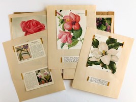 Vintage HandCrafted Scrapbook - Poems and Pictures of Flowers in Origina... - £33.63 GBP