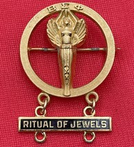 Beta Sigma Phi WOMAN OF THE YEAR Ritual of Jewels Sorority Membership Pinback - £15.19 GBP