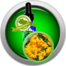 Calendula Essential Oil (Marigold, Calendula Officinalis) - $6.00+