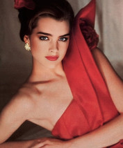 BROOKE SHIELDS 4x6 PHOTO - $2.55