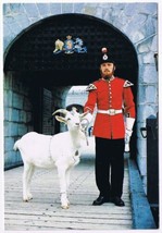 Postcard David Mascot Goat Old Fort Henry Kingston Ontario - $2.05