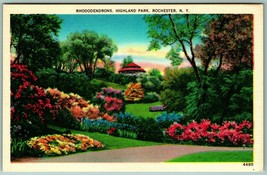 Rhododendrons Garden Highland Park Rochester NY New York UNP Linen Postcard F11 - £2.25 GBP