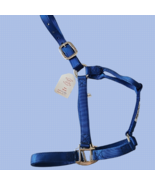 Billy Cook Royal Blue Nylon Halter Horse Size New - £10.34 GBP