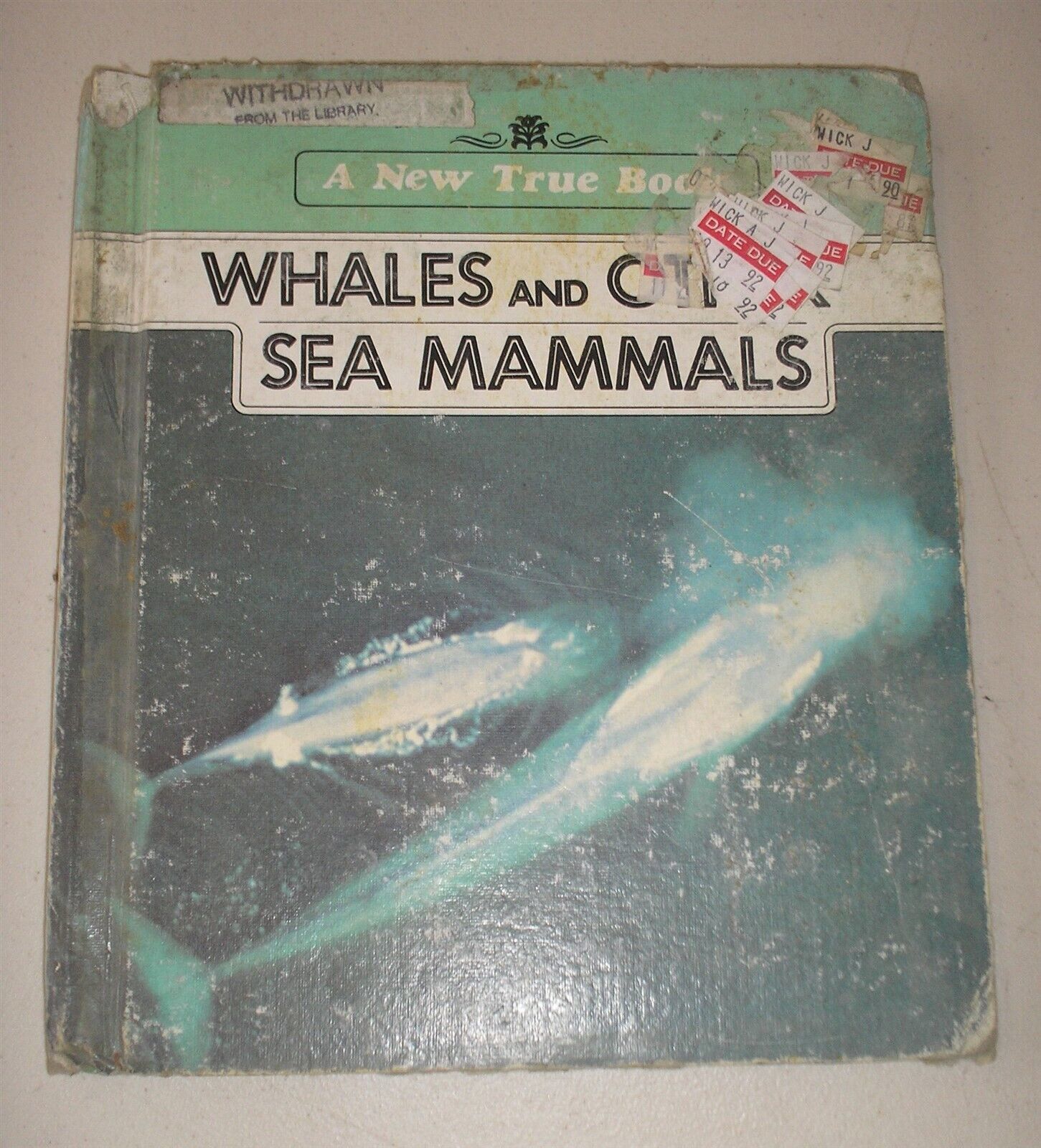 New True Books: Whales and Other Sea Mammals by Elsa Posell (1982,Hardco... - $4.51