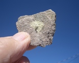 COFFINITE  URANIUM ROCK  0.8 OZ. 29,000. CPM  URAVAN COLO.  $16.00 + $12... - $16.00