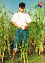 Jordan Knight barefoot Alyssa Milano NKOTB 11" x 8" Teen Mag Pinup Mini ... - $5.94