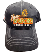 Minnesota Ice Bucks AAA Hockey Adjustable Baseball Cap Dad Hat Northland Group - $9.89