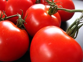 Creole Tomato Plant Louisiana Some Like It Hot 4&quot; Pot - $28.99