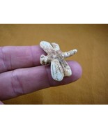 Y-DRAG-550) little Tan DRAGONFLY dragon fly BUG carving gemstone FIGURIN... - €12,21 EUR