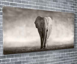 Majestic Elephant Canvas Print Animal Wall Art 55x24 Inch Ready To Hang  - $89.59