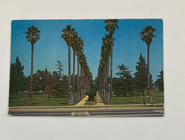 Houghton Park Long Beach California Postcard - $10.00